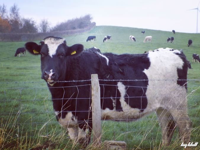 D842DB05-5599-486F-BD1C-9B474E860F7E