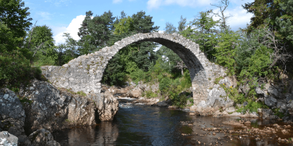 image_2024-01-28_131515340