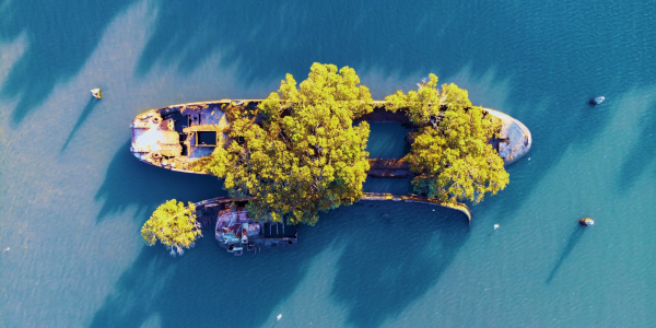 image_2024-11-04_105025523