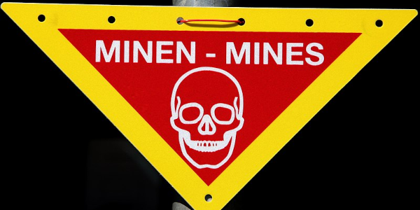 image_2024-12-07_131858185